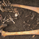 Small bones found in the coffin below the mother’s pelvis.